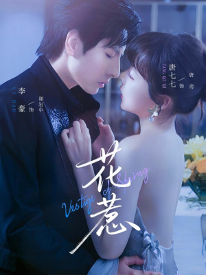 花惹（70集）在哪里可以全集