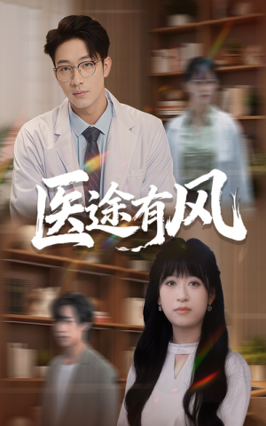 医途有风（52集）全集一网打尽