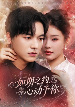 如期之约心动予你（82集）最后的大结局