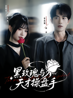 黑玫瑰与天才操盘手（81集）爆火短剧追不停