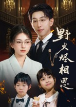 野火烬相思（61集）一个短剧看全集