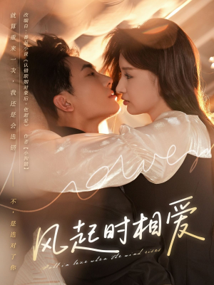 风起时相爱（80集）短剧解说热门