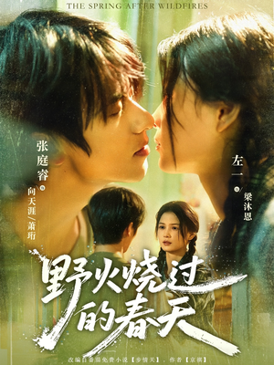 野火烧过的春天（85集）免费短剧合集