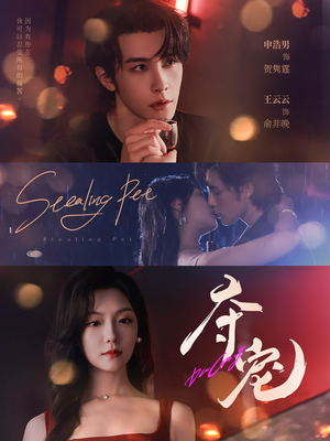 夺宠（88集）热门短剧推广