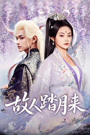 故人踏月来（60集）抢先看热门短剧