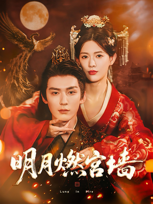 明月燃宫墙（60集）在哪看是免费的