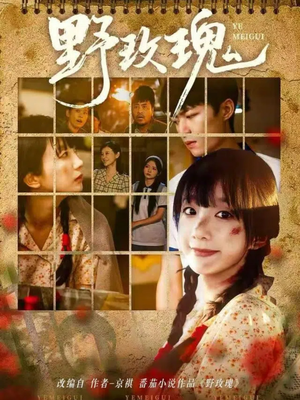 野玫瑰（82集）一起追短剧