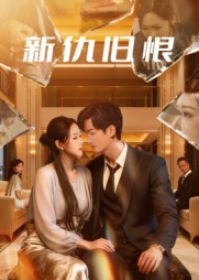 新仇旧恨（51集）在哪里看