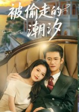 被偷走的潮汐（60集）好短剧分享