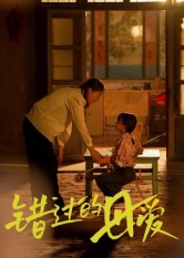 错过的母爱（32集）80到100集