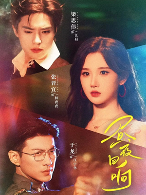 昼夜回响（76集）口碑之选免费看