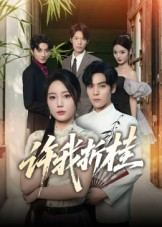 许我折桂（70集）推荐你们也去看