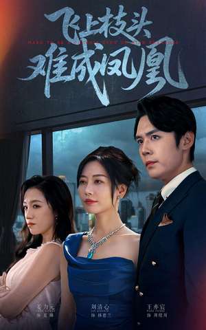 飞上枝头难成凤凰（47集）短剧分享剧集