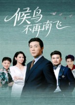 候鸟不再南飞(80集) 候鸟不再南飞(80集)百亿短剧抢先看