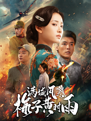 满城风絮梅子黄时雨（58集）在线看完整版