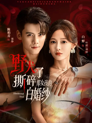 野犬撕碎了那女孩的白婚纱（78集）甜宠短剧追到爽