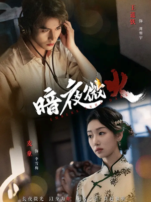 暗夜微火（80集无需会员免费看