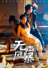 无声风暴（33集）热播短剧免费看