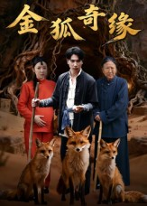 金狐奇缘（42集）解说文案