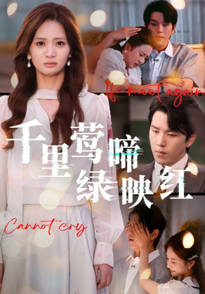 千里莺啼绿映红（63集）全集都在这里了