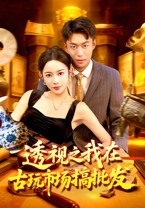 透视之我在古玩市场搞批发(130集) 透视之我在古玩市场搞批发(130集)看短剧放松一下