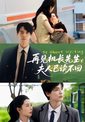 再见机长先生夫人已读不回（62集）在哪个平台看好