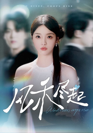 风禾尽起（44集）好看的短剧