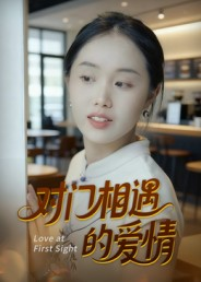 对门相遇的爱情（16集）在线观看完整版