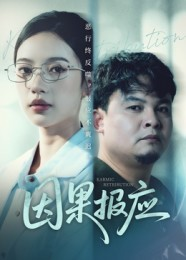 因果报应（30集）短剧在哪里看