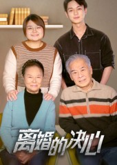 离婚的决心（53集）好看吗