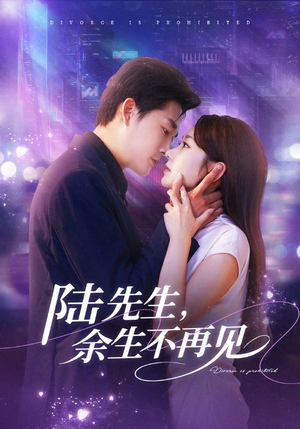 陆先生,余生不再见(88集) 陆先生,余生不再见(88集)全部免费看全集
