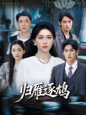 归雁逐鸠（60集）在线看免费版