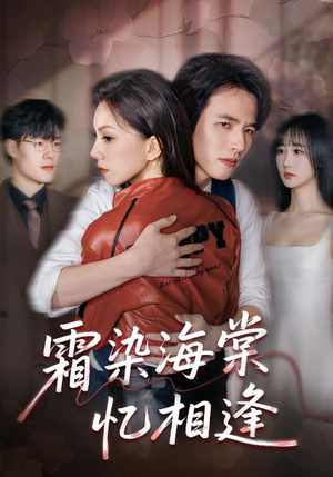 霜染海棠忆相逢（72集）超爽短剧推荐