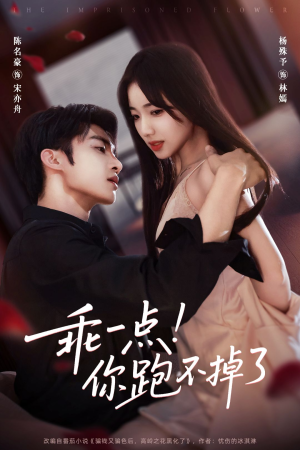 乖一点！你跑不掉了（80集）短剧免费分享