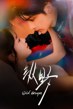 纵野（60集）精彩好看短剧