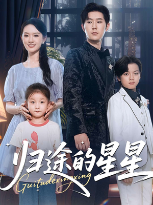 归途的星星（100集）最新热剧免费看