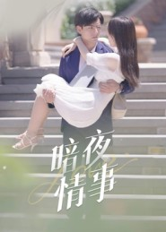 暗夜情事（100集）短剧全集大结局