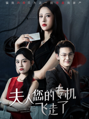 夫人您的专机飞走了（62集）追短剧看全集