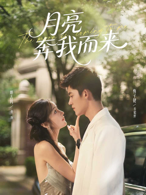月亮奔我而来（74集）短剧介绍