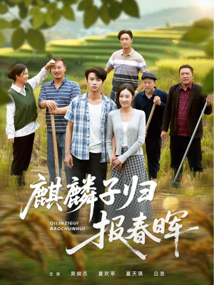 麒麟子归报春晖（36集）全季一次看完