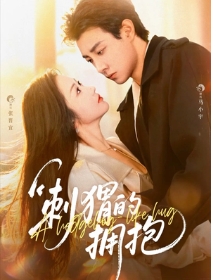 刺猬的拥抱（71集）短剧精彩绝伦