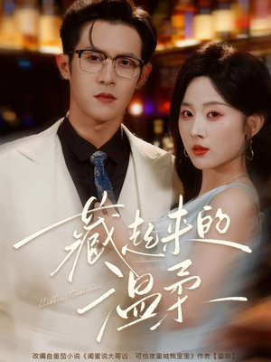 藏起来的温柔（75集）热播短剧分享