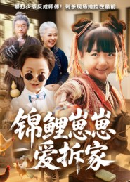 锦鲤崽崽爱拆家（80集）精彩短剧免费看