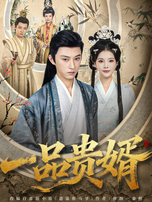 一品贵婿（80集）短剧免费观看