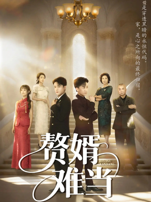 婿业难成（69集）免费版