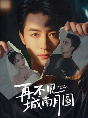 再不见城南月圆(60集) 再不见城南月圆(60集)集免费看短剧
