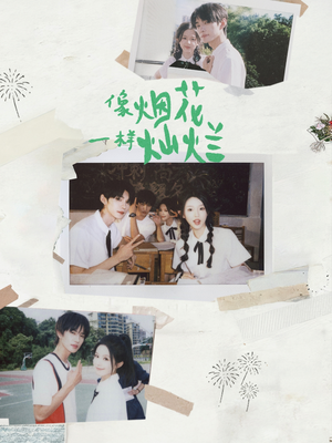 像烟花一样灿烂（60集）迅雷网盘观看