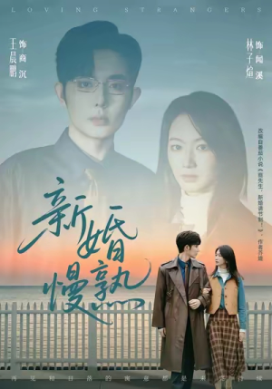 新婚慢熟（105集）全部免费看全集