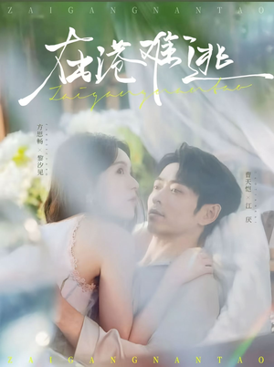 在港难逃（75集）追风的女孩短剧