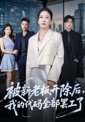被新老板开除后我的代码全部罢工了（60集）百度网盘资源